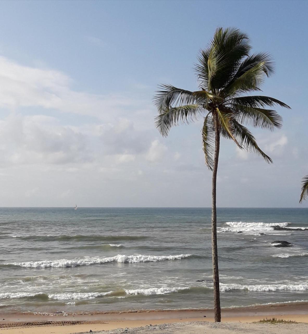 Salvador Surf Hostel Экстерьер фото